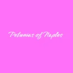 Petunias of Naples